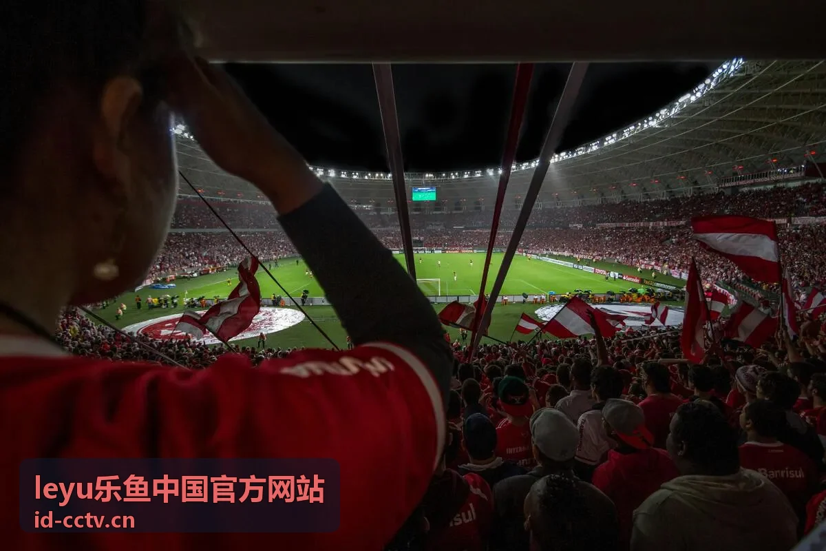 乐鱼平台活动参与流程说明