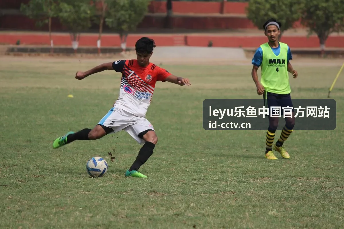 乐鱼平台服务规则与更新公告