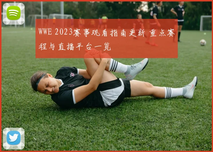 WWE 2023赛事观看指南更新 重点赛程与直播平台一览