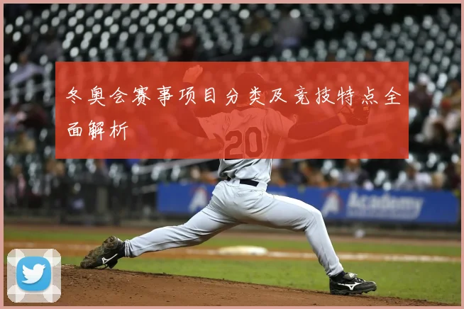 冬奥会赛事项目分类及竞技特点全面解析