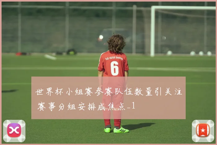 世界杯小组赛参赛队伍数量引关注 赛事分组安排成焦点_1