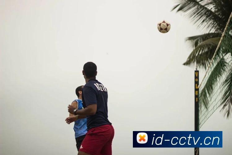 乐鱼网页版登录入口品牌故事