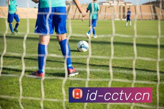 乐鱼网页版登录入口服务体系